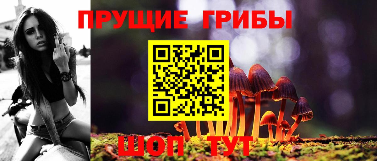 Псилоцибиновые грибы GOLDEN TEACHER  Вход с VPN  Фурманов 